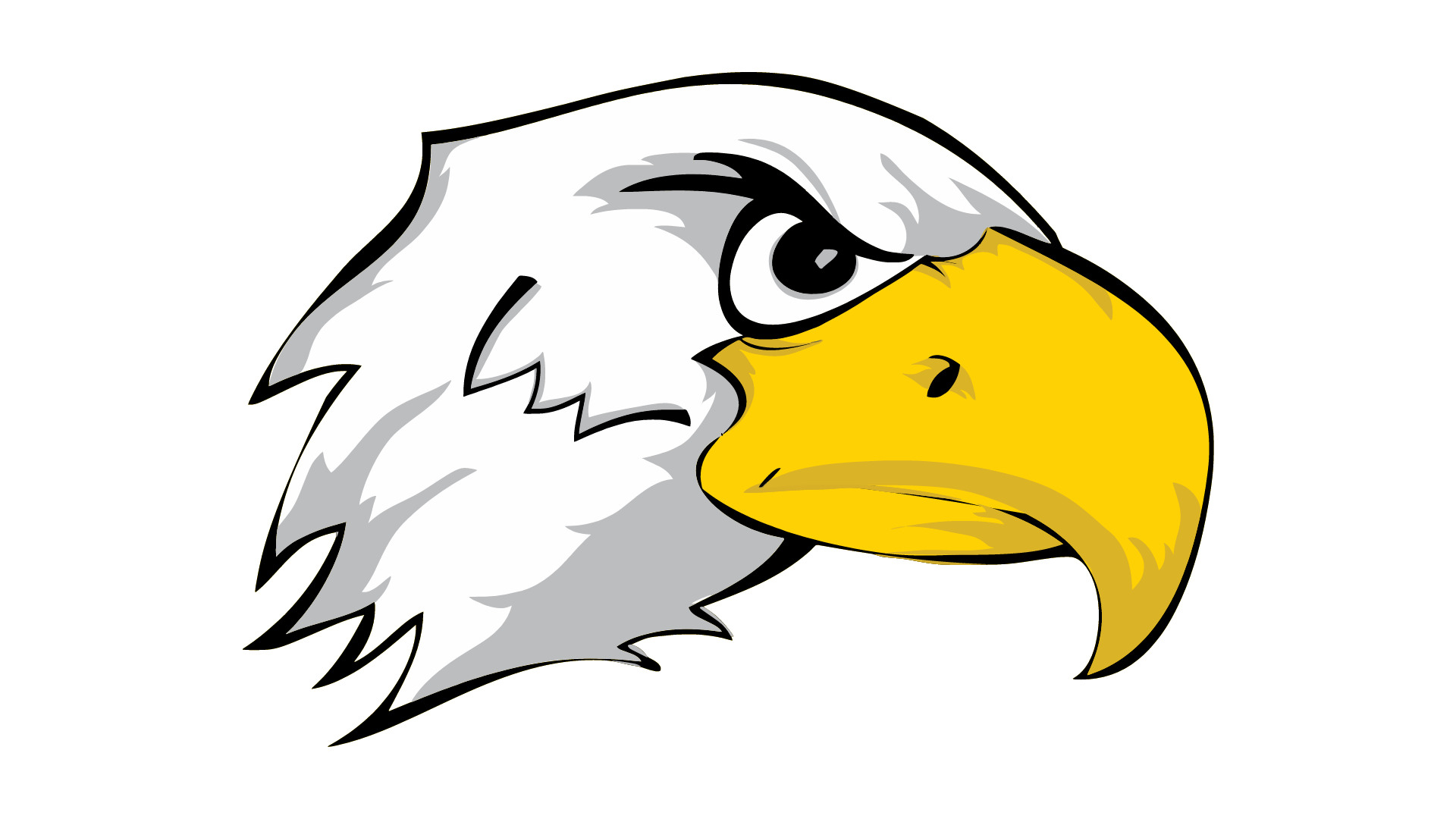 Become a Cecil Seahawk Student-Athlete